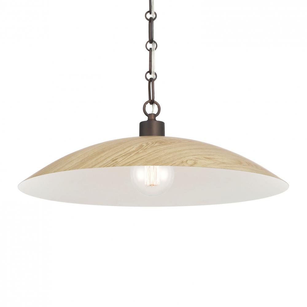 1 LIGHT PENDANT