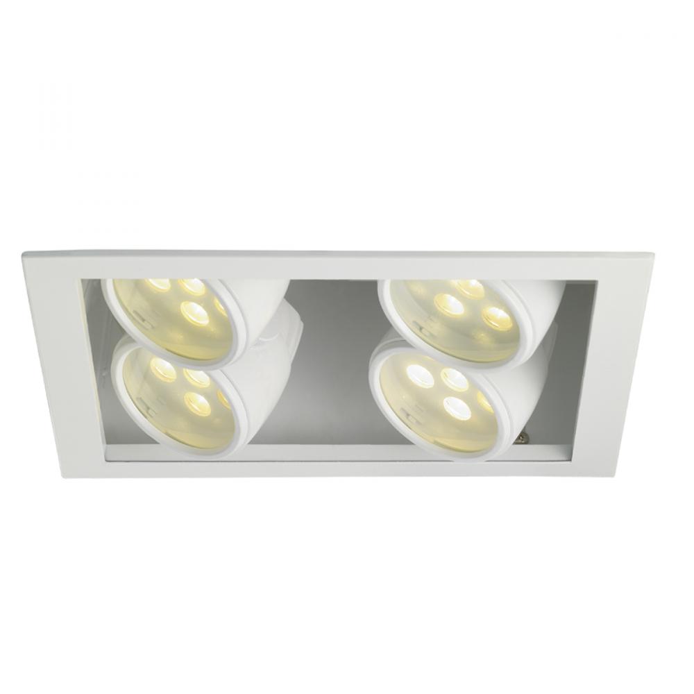 Two Light White Directional Recessed Light
