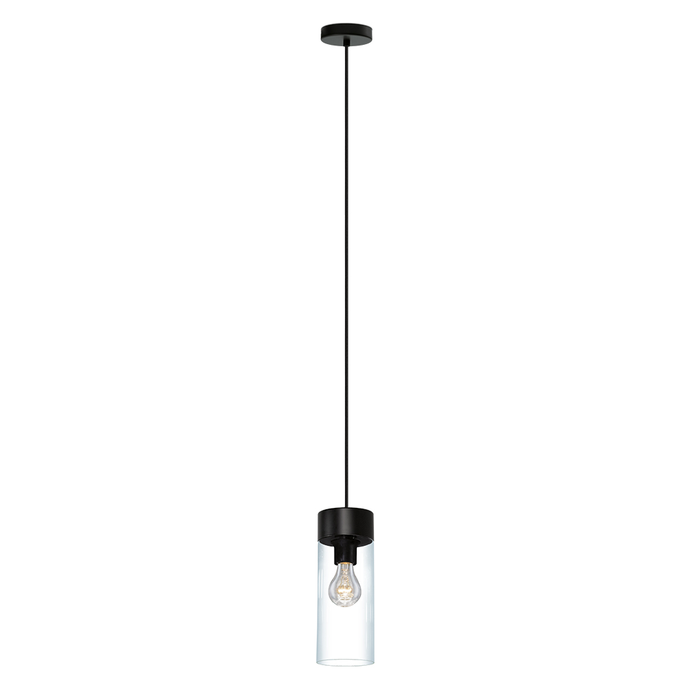 1 LT Mini Pendant w/ Matte Black Finish & Clear Glass Shade