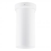 Eglo 204899A - 1 LT Ceiling Light w/ White Finish