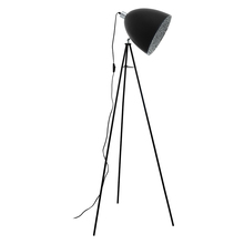 Eglo 39499A - 1 LT Floor Lamp w/ Black w/ Chrome Accent & Black w/ Crystal Sand Interior Metal Shade
