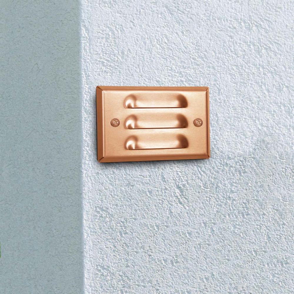 Copper Step Light
