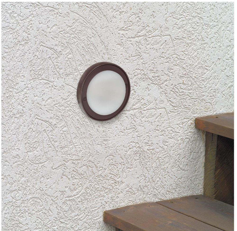 Bronze Step Light