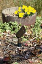 HADCO BL5016-H - Bronze Spot Light