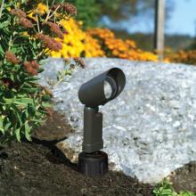 HADCO BT5016-A - Black Spot Light